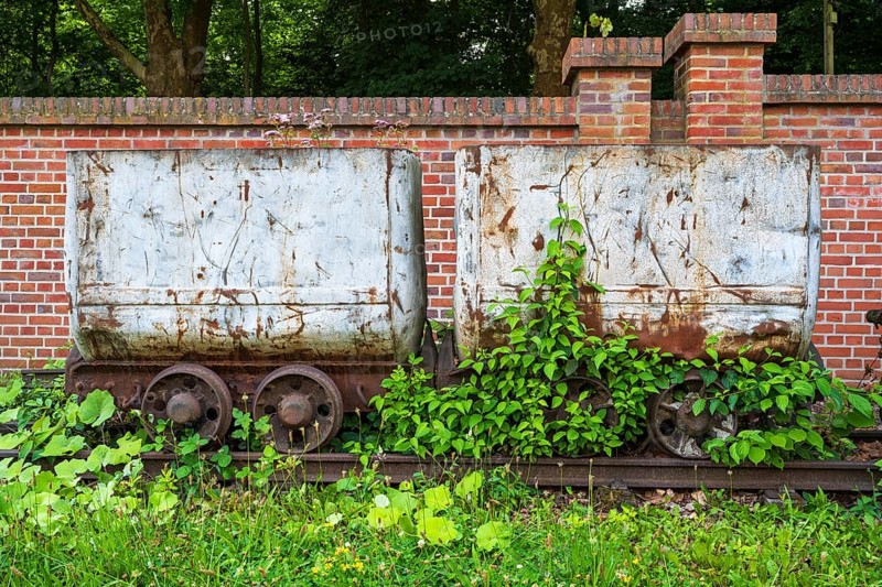 Plants in front of the wagon, coal wagon, railway wagon, LWL Museum, former mine, Hanover colliery, industrial heritage, Bochum, Ruhr area, North Rhine-Westphalia, Germany