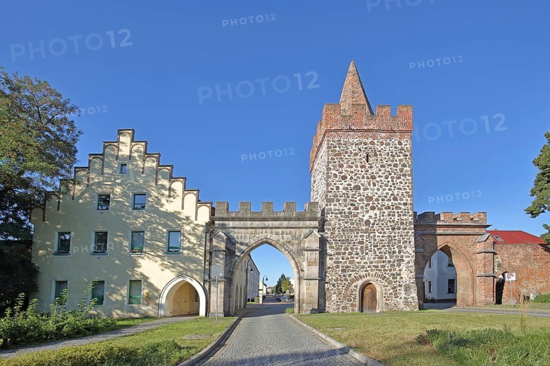 Historic Heath Gate with town wall and building with stepped gable, town fortification, town gate, town tower, Zerbst, Fläming, Saxony-Anhalt, Germany