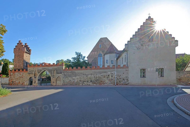 Francisceum built 13th century in backlight, former Franciscan monastery, tower with battlements, stepped gable, building, museum of local history, Zerbst, Fläming, Saxony-Anhalt, Germany