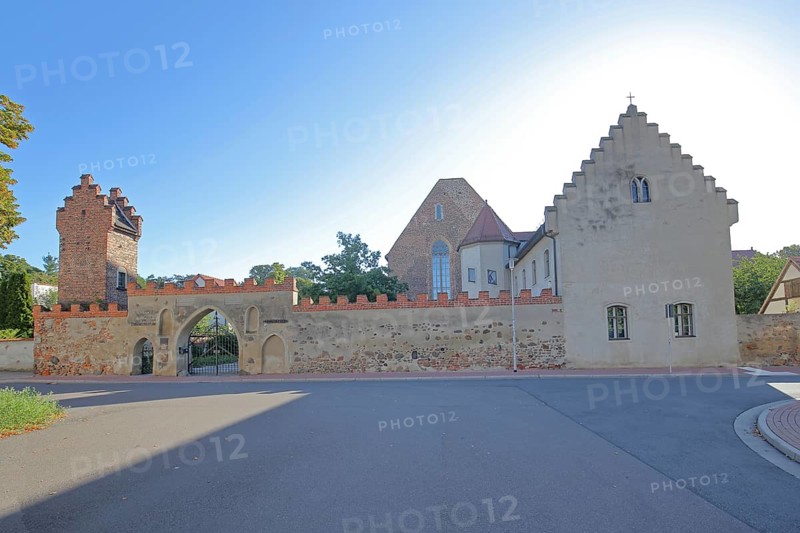 Francisceum built 13th century, former Franciscan monastery, tower with battlements, stepped gable, building, museum of local history, Zerbst, Fläming, Saxony-Anhalt, Germany
