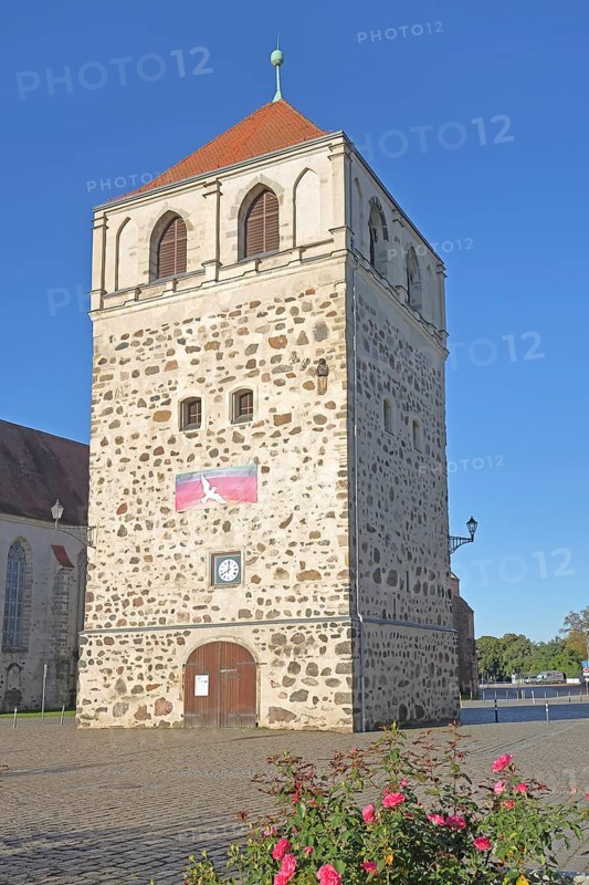 Historic Dicker Turm, town tower, Zerbst, Fläming, Saxony-Anhalt, Germany