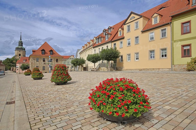 Market square with town hall and church tower of the town church, flower decoration, maypole, market, Bad Lauchstädt, Saxony-Anhalt, Germany
