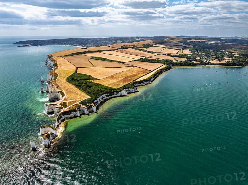 White Cliffs of Old Harry Rocks Jurassic Coast from a drone, Handfast Point, Dorset Coast, Poole, Dorset, England, United Kingdom