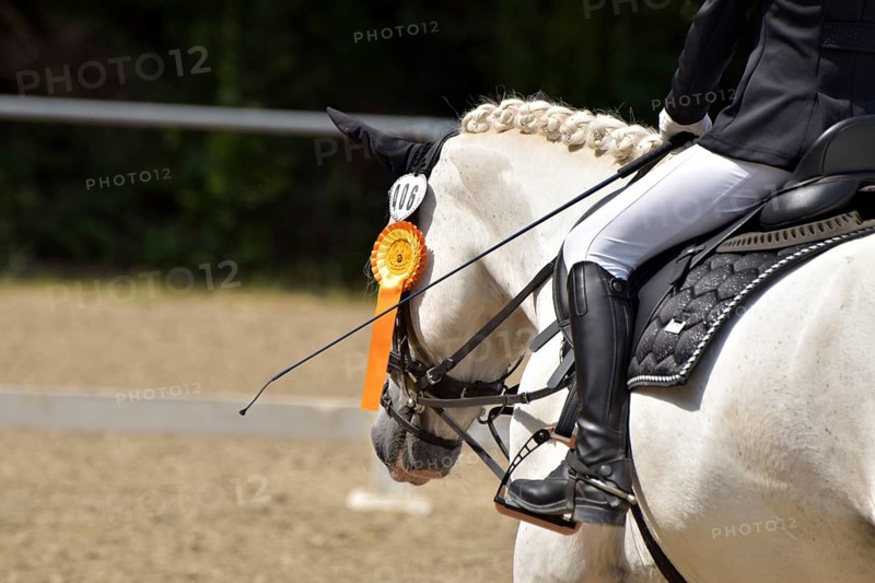 Close-up of a dressage competition at a horse show with typical equipment of rider and horse and a winner's ribbon, Rhineland-Palatinate, Germany