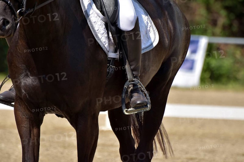 Close-up of a dressage test at a horse show with white dressage saddle pad, stirrups and riding boots, Rhineland-Palatinate, Germany