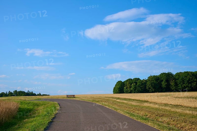 A tarmac path with a bench on the horizon, surrounded by fields and a blue sky with light clouds, Reichartshausen, Amorbach, Odenwald, Bavaria, Germany