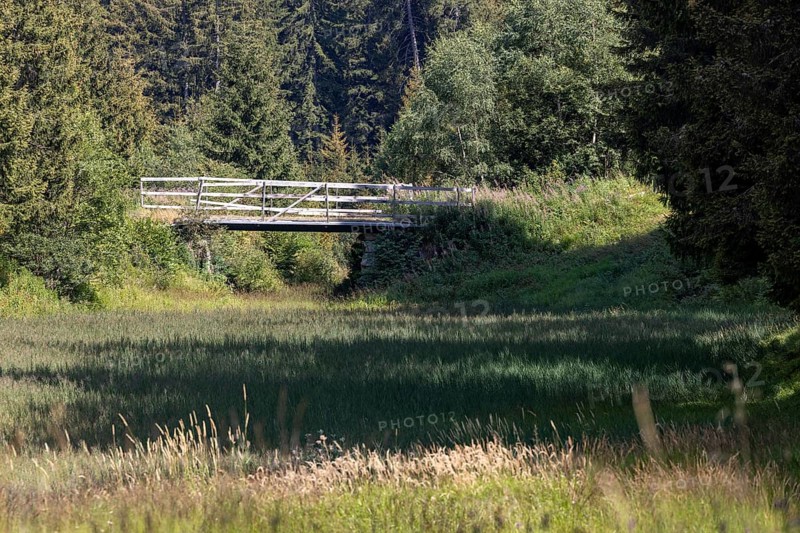 Wetland and wooden bridge, Campra, Blenio, Ticino, Switzerland