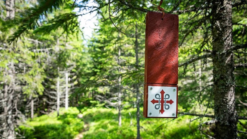 Red sign with Olav's cross hanging on a tree, forest path in bright sunshine, Olavsweg or Olavsleden, Norway