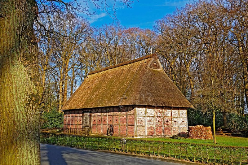 Building with thatched roof, Bad Zwischenahn, Ammerland, Lower Saxony, Germany