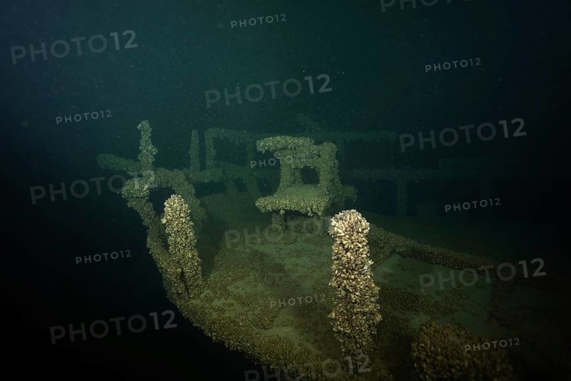 A shipwreck covered with Quagga triangle mussels (Dreissena rostriformis bugensis), invasive species, in a dark underwater environment. Dive site Wreck of the Jura, Lake Constance, Bottighofen, Switzerland, Münsterlingen, Germany