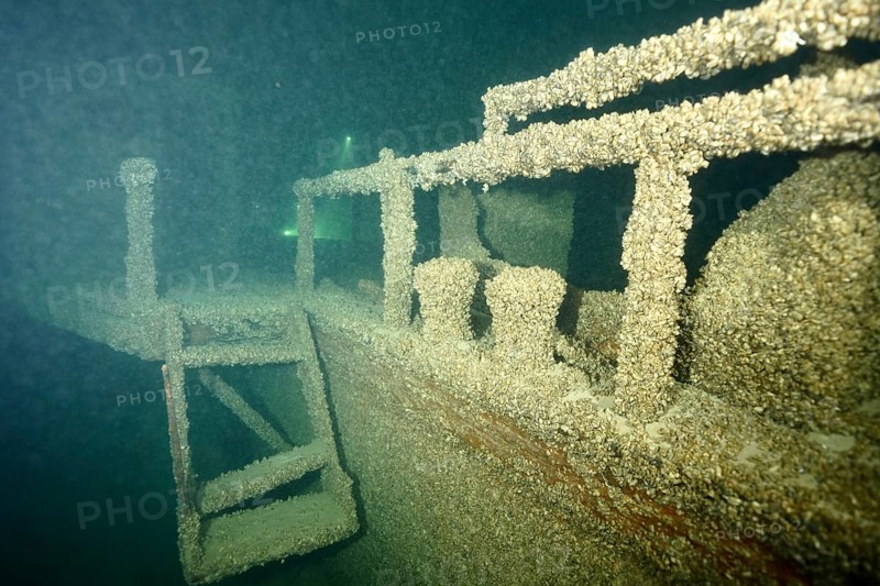 A shipwreck covered with quagga triangle mussels (Dreissena rostriformis bugensis), an invasive species, in the greenish underwater light. Dive site wreck of the Jura, Lake Constance, Bottighofen, Switzerland, Münsterlingen, Germany