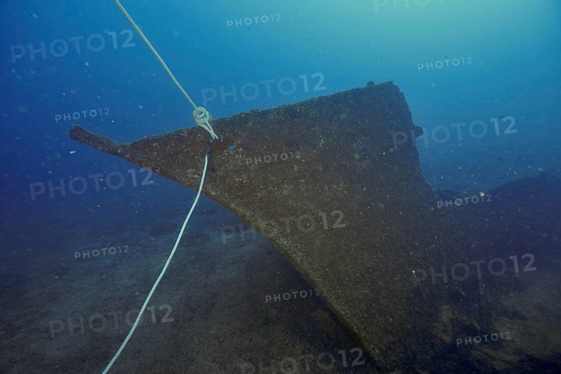 Calm shipwreck with a rope at the bow on the seabed. Dive site wreck Le Vapeur, Giens peninsula, Provence Alpes Côte d'Azur, France
