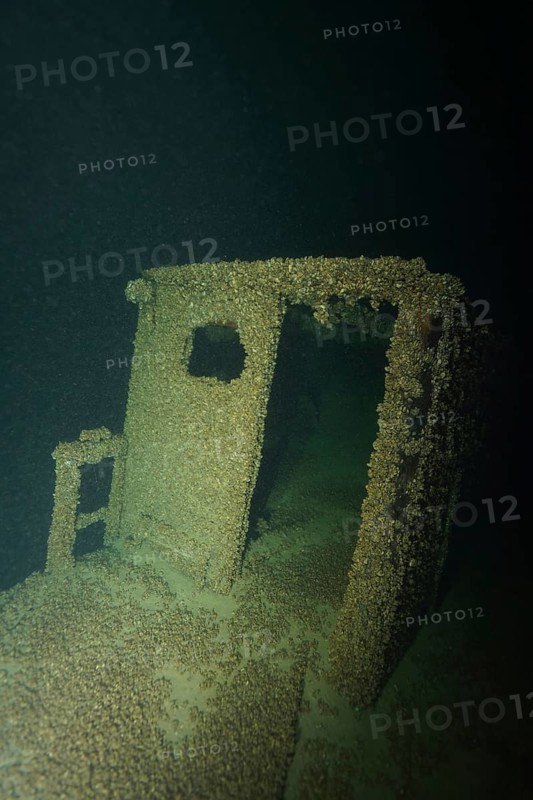Shipwreck covered with quagga triangle mussels (Dreissena rostriformis bugensis), invasive species, in a dark underwater environment. Dive site wreck of the Jura, Lake Constance, Bottighofen, Switzerland, Münsterlingen, Germany