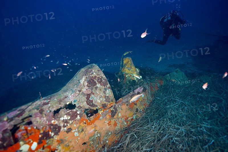A diver explores an old aircraft wreck overgrown with marine vegetation. Dive site aircraft wreck Mustang P51, Giens peninsula, Provence Alpes Côte d'Azur, France