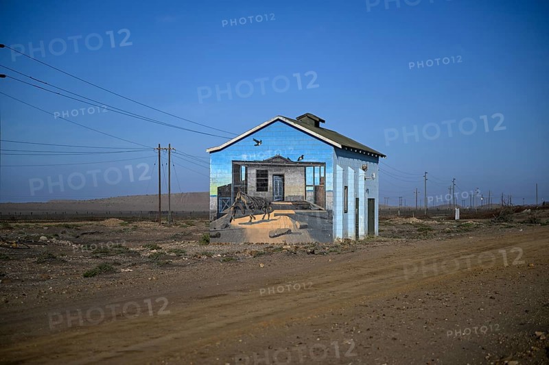 Painted house facade, graffito, brown hyena, diamonds, Oranjemund, Karas region, Namibia