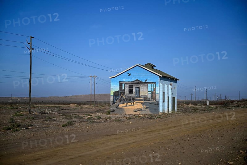 Painted house facade, graffito, brown hyena, diamonds, Oranjemund, Karas region, Namibia