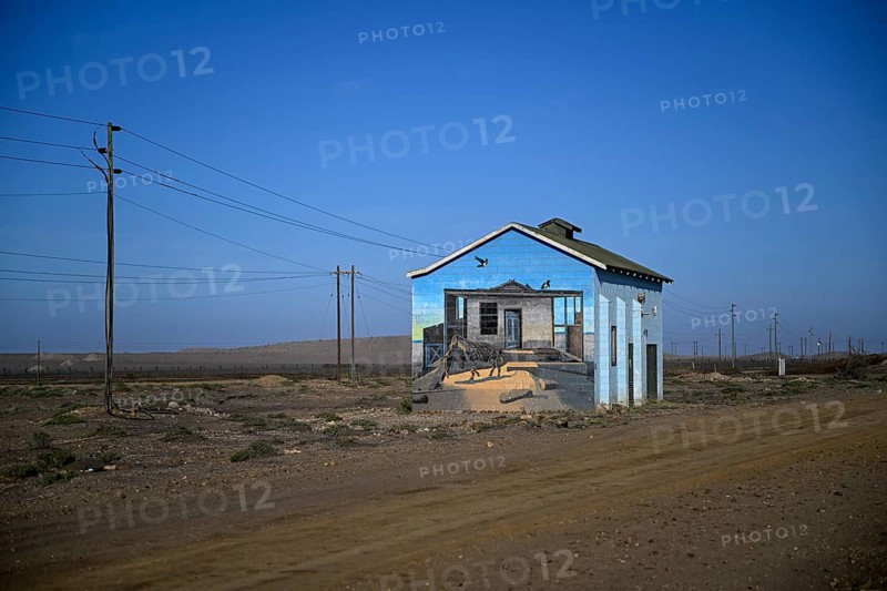 Painted house facade, graffito, brown hyena, diamonds, Oranjemund, Karas region, Namibia
