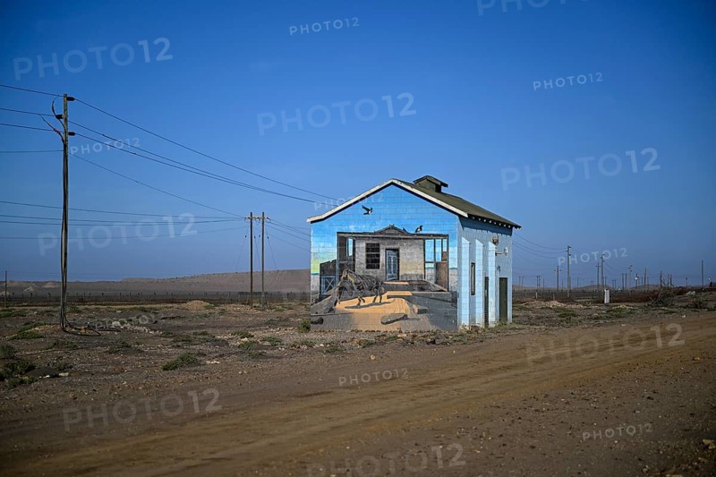 Painted house facade, graffito, brown hyena, diamonds, Oranjemund, Karas region, Namibia