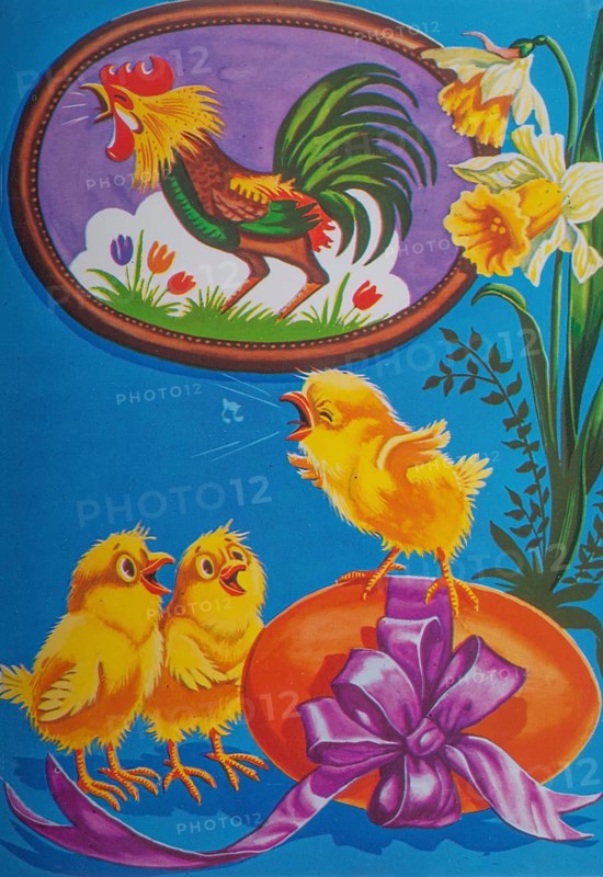 Old postcard and Easter card. Yellow singing chickens