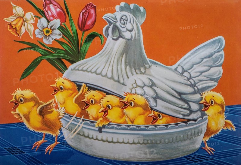 Old postcard and Easter card. Yellow chicks in a bowl in the shape of a brooding hen