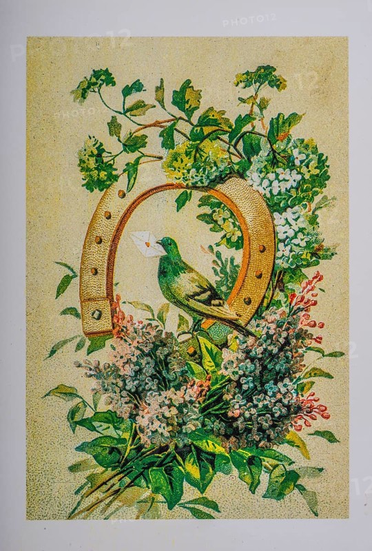 Old postcard and greeting card. Dove in horseshoe oxh flowers