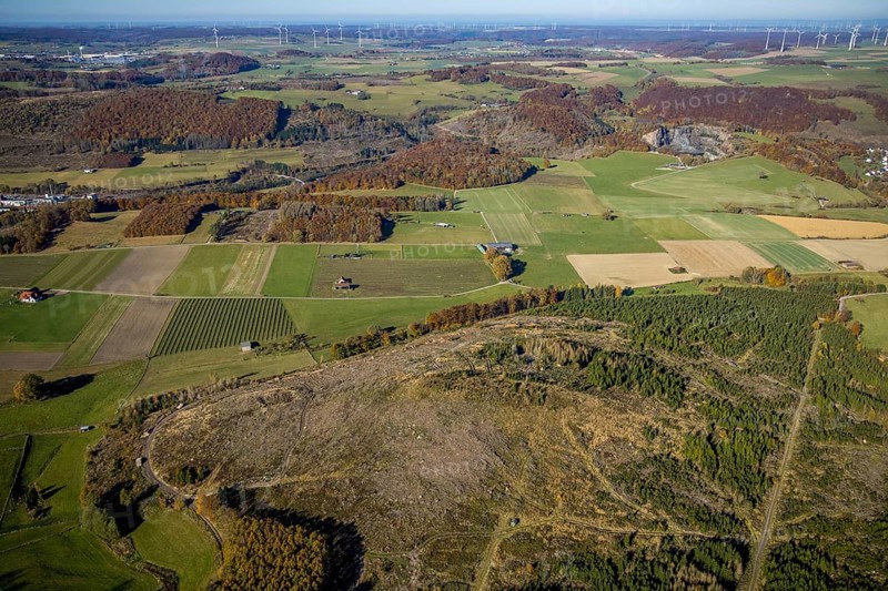 Aerial view, forest area with forest damage and wind farm in the background in the district of Hoppecke in Brilon, Sauerland, North Rhine-Westphalia, Germany, tree dieback, bark beetle damage, bark beetle plague, Brilon, DE, Europe, spruce dieback, hilly landscape, clear cutting, landscape conservation area, aerial view, aerial photography, aerial photography, overview, bird's eye view, forest, forest area, forest damage, forest dieback, birds-eyes view, overview