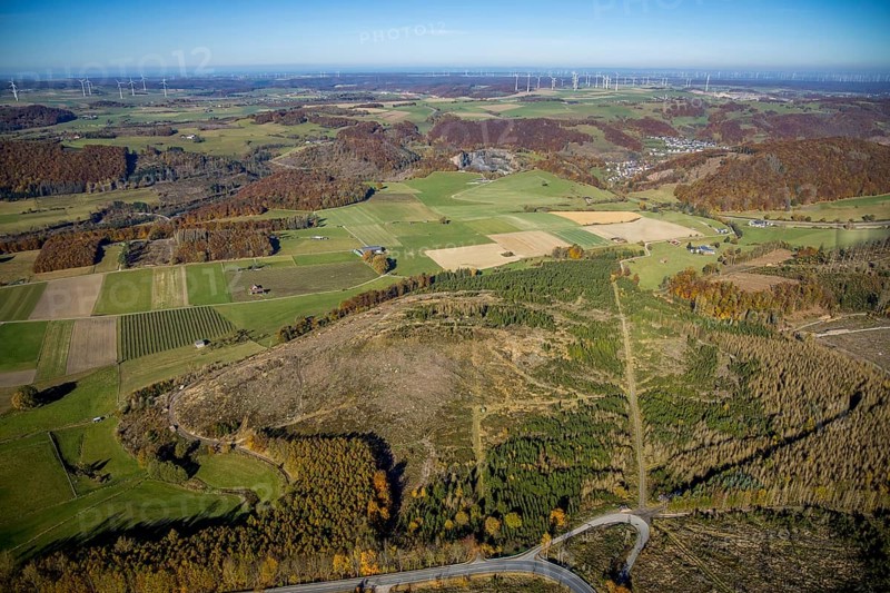 Aerial view, forest area with forest damage and wind farm in the background in the district of Hoppecke in Brilon, Sauerland, North Rhine-Westphalia, Germany, tree dieback, bark beetle damage, bark beetle plague, Brilon, DE, Europe, spruce dieback, hilly landscape, clear cutting, landscape conservation area, aerial view, aerial photography, aerial photography, overview, bird's eye view, forest, forest area, forest damage, forest dieback, birds-eyes view, overview