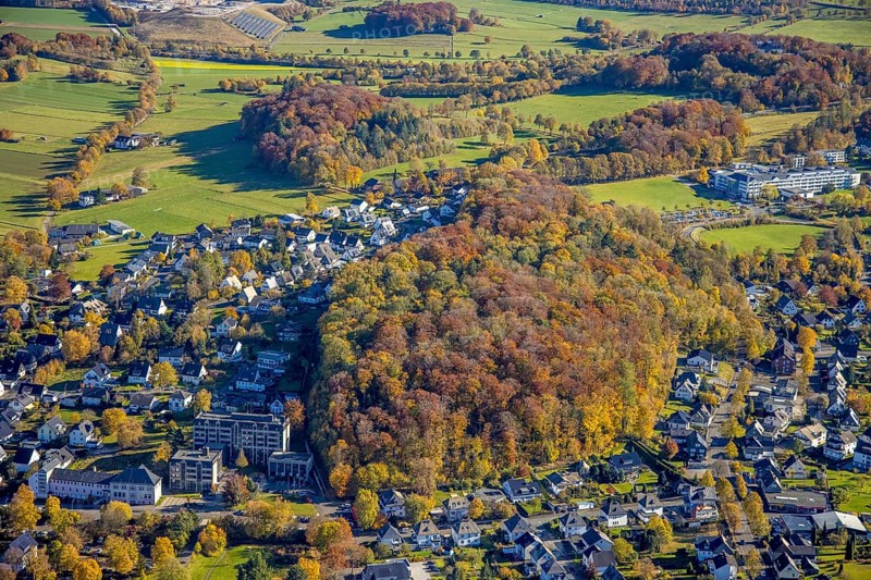 Aerial view, forest Drübel - nature reserve in autumn colours and vehicle registration office Brilon in Brilon, Sauerland, North Rhine-Westphalia, Germany, authority, Brilon, DE, Europe, health care, hospital, clinic, clinic, hospital, hospital, aerial photograph, aerial photography, aerial photography, medical facility, medical aid, Maria-Hilf Brilon Municipal Hospital, overview, bird's eye view, forest area, birds-eyes view, overview, medical care