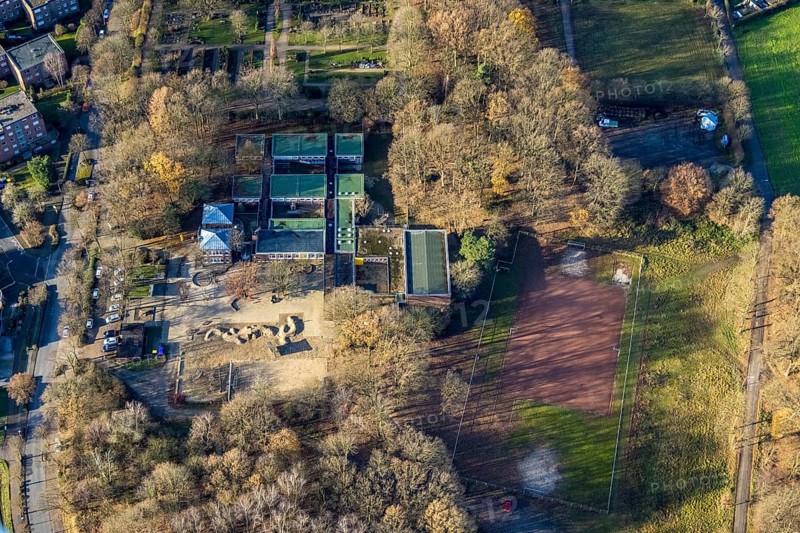 Aerial view of the Albert-Schweitzer-School and sports field in the district Hervest in the Glück-Auf-Straße in Dorsten in the Ruhr area in North Rhine-Westphalia, Germany, education, educational institution, DE, Germany, Dorsten, Europe, educational institute, aerial view, aerial photograph, aerial photography, aerial photography, North Rhine-Westphalia, Ruhr area, school, sports field, overview, bird's-eye view, overview