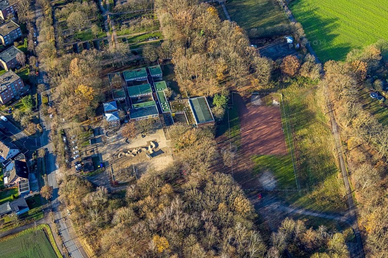 Aerial view of the Albert-Schweitzer-School and sports field in the district Hervest in the Glück-Auf-Straße in Dorsten in the Ruhr area in North Rhine-Westphalia, Germany, education, educational institution, DE, Germany, Dorsten, Europe, educational institute, aerial view, aerial photograph, aerial photography, aerial photography, North Rhine-Westphalia, Ruhr area, school, sports field, overview, bird's-eye view, overview