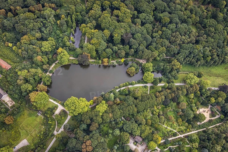 Aerial view, Rombergpark with lake in the district Hörde in Dortmund, Ruhr area, North Rhine-Westphalia, Germany, DE, Dortmund, Europe, leisure area, leisure park, aerial view, aerial photography, aerial photography, park, lake, overview, bird's eye view, forest area, birds-eyes view, overview