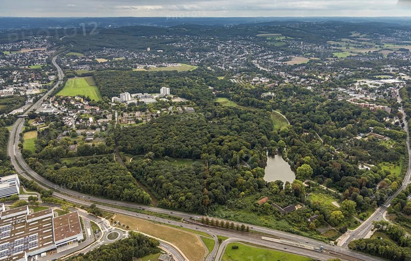 Aerial view, Rombergpark with lake in the district Hörde in Dortmund, Ruhr area, North Rhine-Westphalia, Germany, DE, Dortmund, Europe, leisure area, leisure park, aerial view, aerial photography, aerial photography, park, lake, overview, bird's eye view, forest area, birds-eyes view, overview