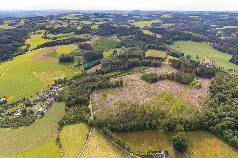 Aerial view, forest area with forest damage in Heimicke, Drolshagen, Sauerland, North Rhine-Westphalia, Germany, tree death, bark beetle damage, bark beetle plague, DE, Europe, clear-cutting, aerial view, aerial photography, aerial photography, overview, bird's eye view, forest, forest damage, forest dieback, birds-eyes view, overview