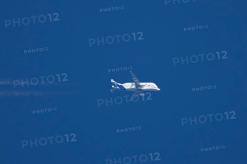 Airbus A300-600ST Super Transporter or Beluga aircraft in flight in a blue sky with vapour trails or contrails behind, England, United Kingdom