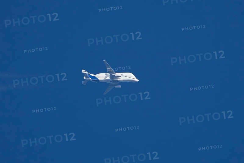 Airbus A300-600ST Super Transporter or Beluga aircraft in flight in a blue sky with vapour trails or contrails behind, England, United Kingdom