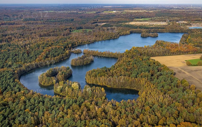 Aerial view, Heidesee surrounded by autumnal forest in the district Kirchhellen-Süd in Bottrop, Ruhr area, North Rhine-Westphalia, Germany, Bottrop, DE, Europe, autumn colours, autumn forest, autumn forest colours, island in the lake, aerial view, aerial photography, aerial photography, lake, overview, bird's eye view, birds-eyes view, autumnal forest, overview