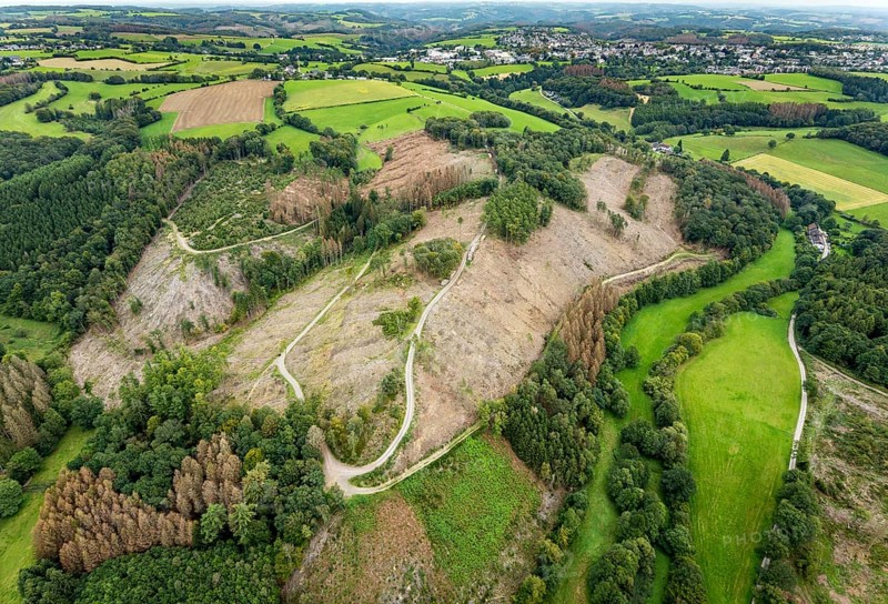 Aerial photograph, forest damage near the village of Brenscheid in Breckerfeld, Sauerland, North Rhine-Westphalia, Germany, tree death, bark beetle damage, bark beetle plague, Breckerfeld, DE, Europe, spruce death, clear-cutting, aerial photograph, aerial photography, aerial photography, overview, bird's-eye view, forest, forest damage, forest dieback, birds-eyes view, overview