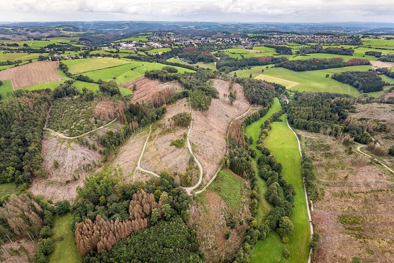 Aerial photograph, forest damage near the village of Brenscheid in Breckerfeld, Sauerland, North Rhine-Westphalia, Germany, tree death, bark beetle damage, bark beetle plague, Breckerfeld, DE, Europe, spruce death, clear-cutting, aerial photograph, aerial photography, aerial photography, overview, bird's-eye view, forest, forest damage, forest dieback, birds-eyes view, overview