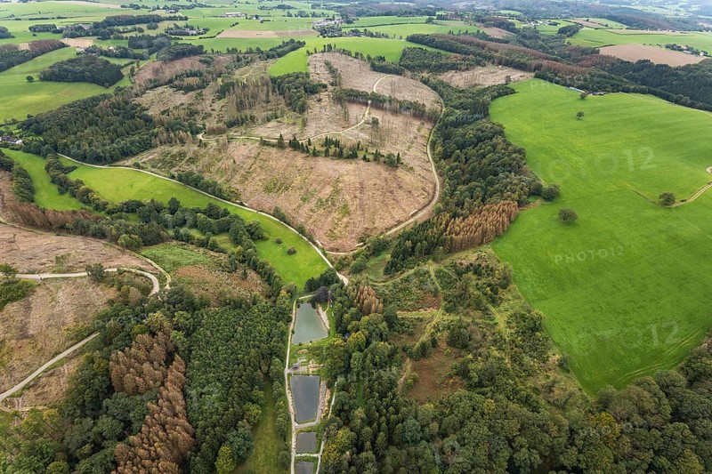 Aerial view, forest damage at the fishing ponds Angelparadies Steinbachtal in Breckerfeld, Sauerland, North Rhine-Westphalia, Germany, fishing, tree mortality, bark beetle damage, bark beetle plague, Breckerfeld, DE, Europe, spruce mortality, fishing, clear-cutting, aerial view, aerial photography, aerial photography, overview, bird's-eye view, forest, forest damage, forest dieback, birds-eyes view, overview