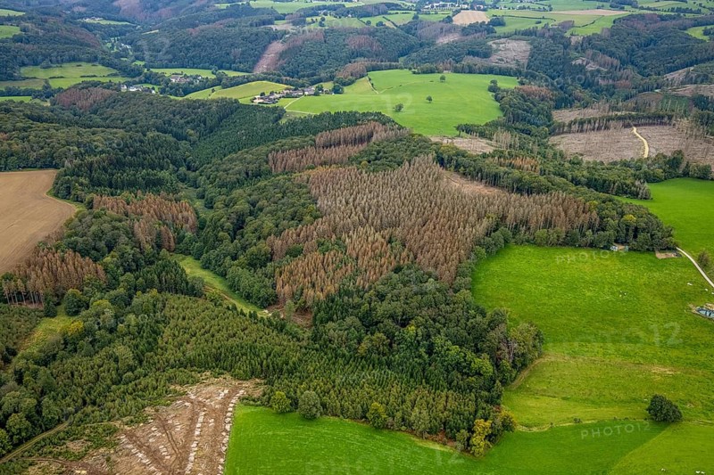 Aerial view, forest damage near the village of Boßel in Breckerfeld, Sauerland, North Rhine-Westphalia, Germany, tree dieback, bark beetle damage, bark beetle plague, Breckerfeld, DE, Europe, spruce dieback, clear-cutting, aerial view, aerial photography, aerial photography, overview, bird's-eye view, forest, forest damage, forest dieback, birds-eyes view, overview