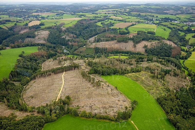 Aerial view, forest damage at Steinbachtal near the village of Boßel in Breckerfeld, Sauerland, North Rhine-Westphalia, Germany, tree dieback, bark beetle damage, bark beetle plague, Breckerfeld, DE, Europe, spruce dieback, clear-cutting, aerial photograph, aerial photography, aerial photography, overview, bird's-eye view, forest, forest damage, forest dieback, birds-eyes view, overview