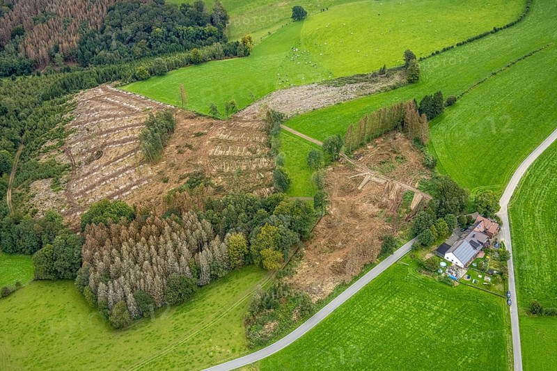 Aerial view, forest damage near the village of Boßel in Breckerfeld, Sauerland, North Rhine-Westphalia, Germany, tree dieback, bark beetle damage, bark beetle plague, Breckerfeld, DE, Europe, spruce dieback, clear-cutting, aerial view, aerial photography, aerial photography, overview, bird's-eye view, forest, forest damage, forest dieback, birds-eyes view, overview