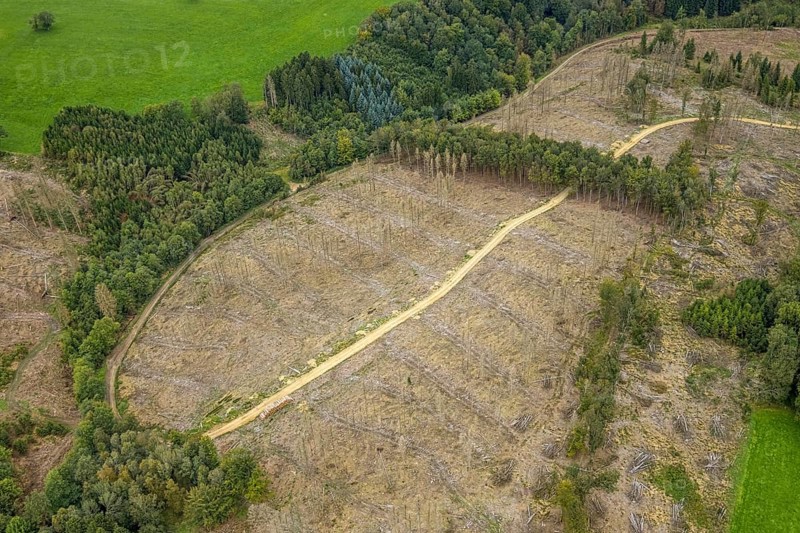 Aerial view, forest damage at Steinbachtal near the village of Boßel in Breckerfeld, Sauerland, North Rhine-Westphalia, Germany, tree dieback, bark beetle damage, bark beetle plague, Breckerfeld, DE, Europe, spruce dieback, clear-cutting, aerial photograph, aerial photography, aerial photography, overview, bird's-eye view, forest, forest damage, forest dieback, birds-eyes view, overview