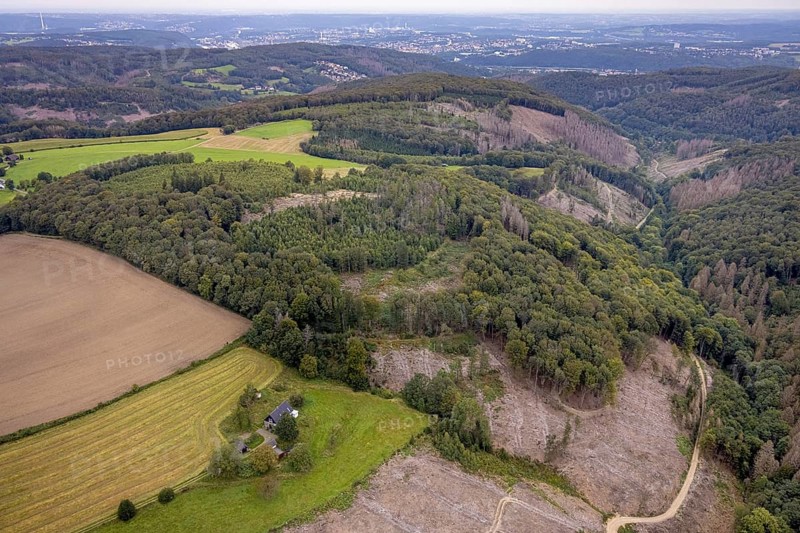 Aerial view, forest area with forest damage at the district Waldbauer Zurstraße in Breckerfeld, Sauerland, North Rhine-Westphalia, Germany, tree dieback, bark beetle damage, bark beetle plague, Breckerfeld, DE, Europe, spruce dieback, clear-cutting, aerial view, aerial photography, aerial photography, overview, bird's eye view, forest, forest damage, forest dieback, birds-eyes view, overview
