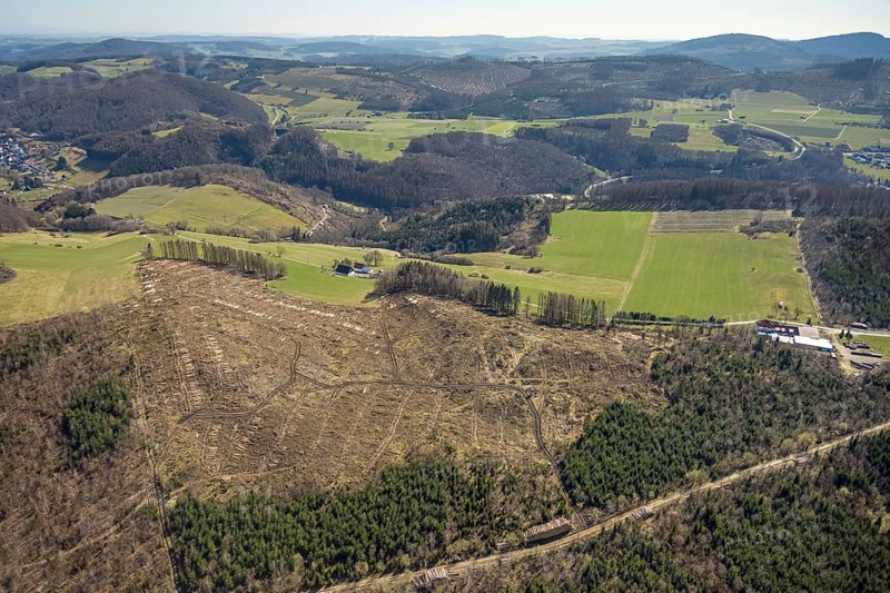 Aerial photo, forest dieback Thülener Bruch, Plattenberg, Brilon, Sauerland, North Rhine-Westphalia, Germany, DE, Europe, hilly landscape, aerial photo, aerial photography, aerial photography, overview, bird's-eye view, forest, forest area, forest damage, forest dieback, birds-eyes view, overview