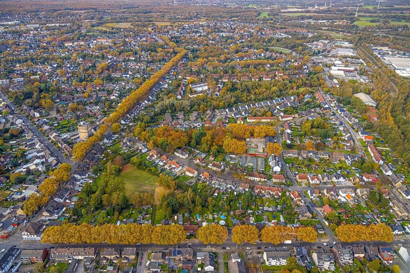 Aerial view, Autumnal rows of trees in the residential area between Scharnhölzstraße and Aegidistraße in the Eigen district of Bottrop, Ruhr area, North Rhine-Westphalia, Germany, avenue of trees, row of trees, row of trees at the roadside, series of trees, Bottrop, DE, Europe, property tax, autumn colours, autumn forest, real estate, aerial view, aerial photography, aerial photography, overview, bird's-eye view, angular shape, residential complex, housing and living, residential area, residential buildings, residential quality, residential quarter, housing estate, birds-eyes view, overview
