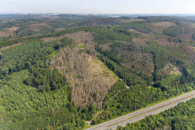 Aerial photo, forest area with forest damage in Hüsten, Arnsberg, Sauerland, North Rhine-Westphalia, Germany, tree death, DE, Europe, Hochsauerlandkreis, clear-cutting, aerial photo, aerial photography, aerial photography, overview, bird's-eye view, forest, forest area, forest damage, forest death, forest piece, birds-eyes view, overview