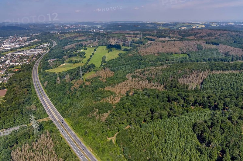 Aerial photo, forest area with forest damage in Neheim, Arnsberg, Sauerland, North Rhine-Westphalia, Germany, motorway A46, tree death, DE, Europe, Hochsauerlandkreis, clear-cutting, aerial photo, aerial photography, aerial photography, overview, bird's-eye view, forest, forest area, forest damage, forest death, piece of forest, birds-eyes view, overview