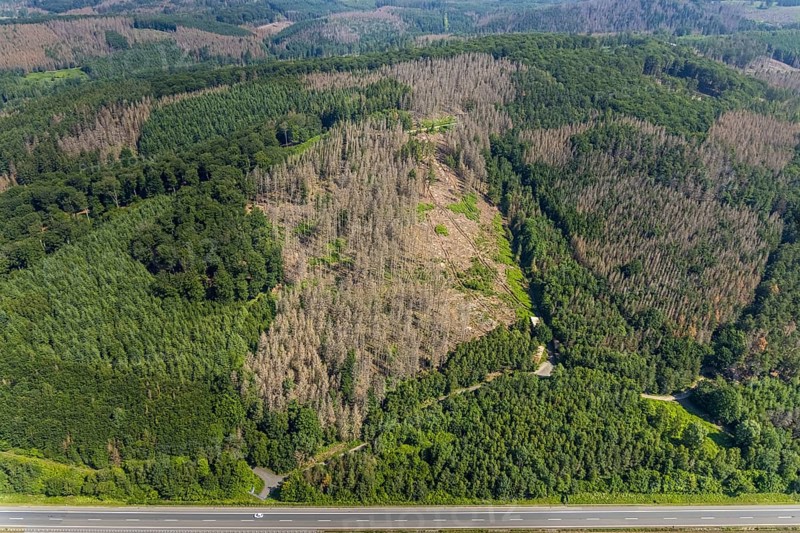 Aerial photo, forest area with forest damage in Hüsten, Arnsberg, Sauerland, North Rhine-Westphalia, Germany