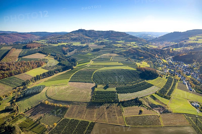 Aerial view, meadows and fields with Christmas tree cultivation at the district Heringhausen in Bestwig, Sauerland, North Rhine-Westphalia, Germany, tree plantations, Bestwig, DE, Europe, shapes and colours, aerial view, aerial photography, aerial photography, fir trees, overview, bird's eye view, Christmas tree cultures, birds-eyes view, overview